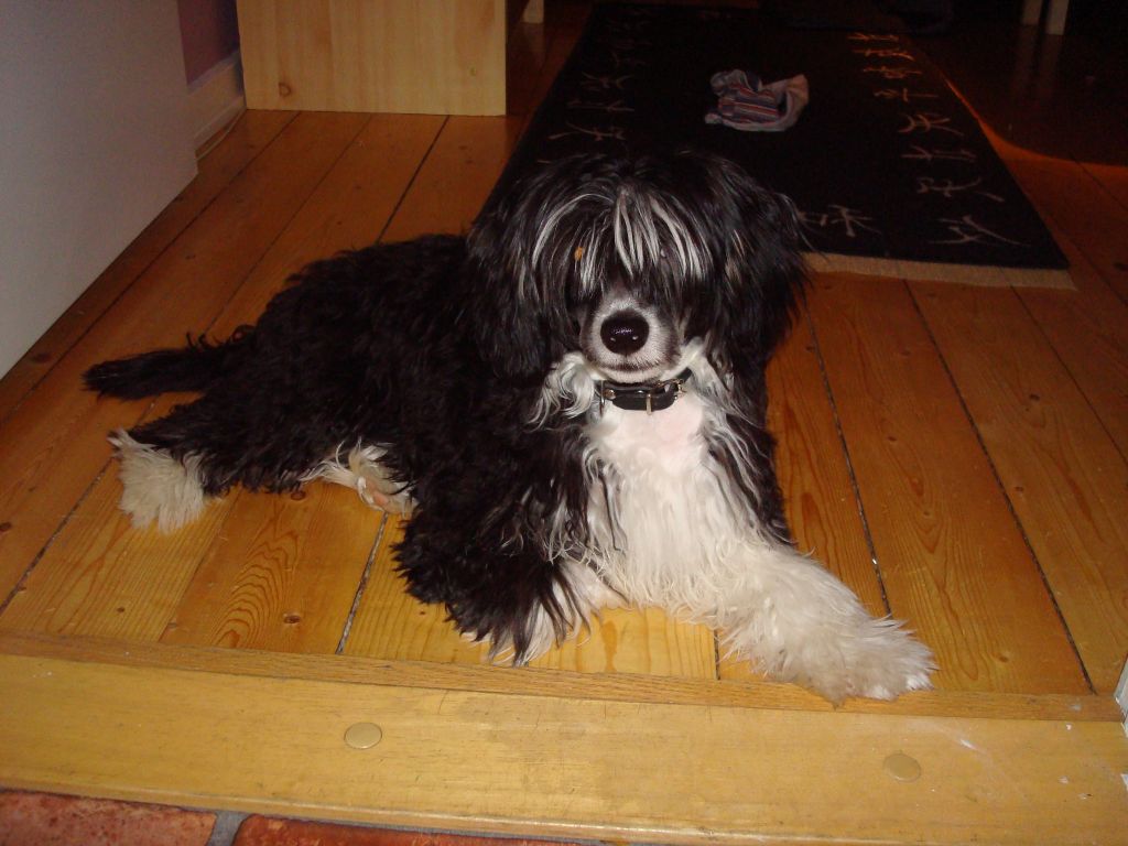 Spirit Of Mantra's Berra Blytung