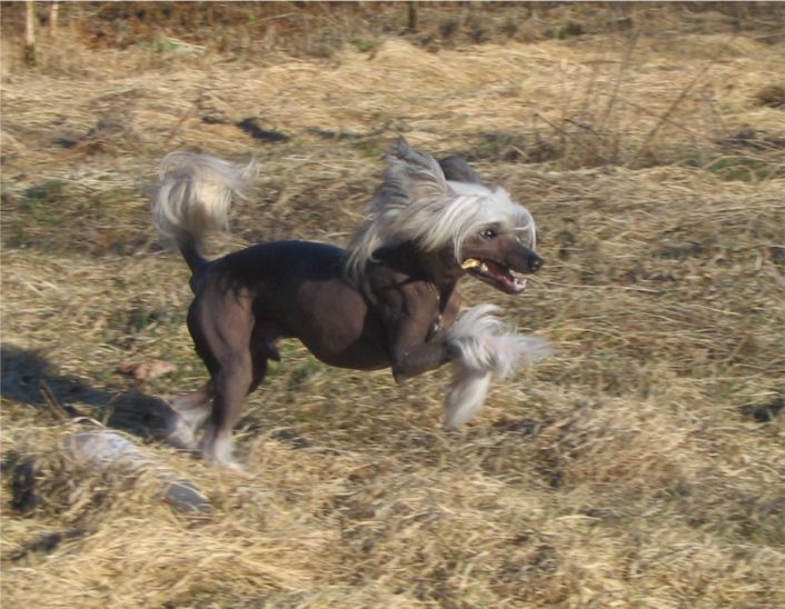 Spirit Of Mantra's Boldone Börje