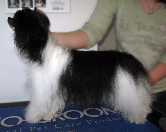 Kuminaaman Emil's Sunrise