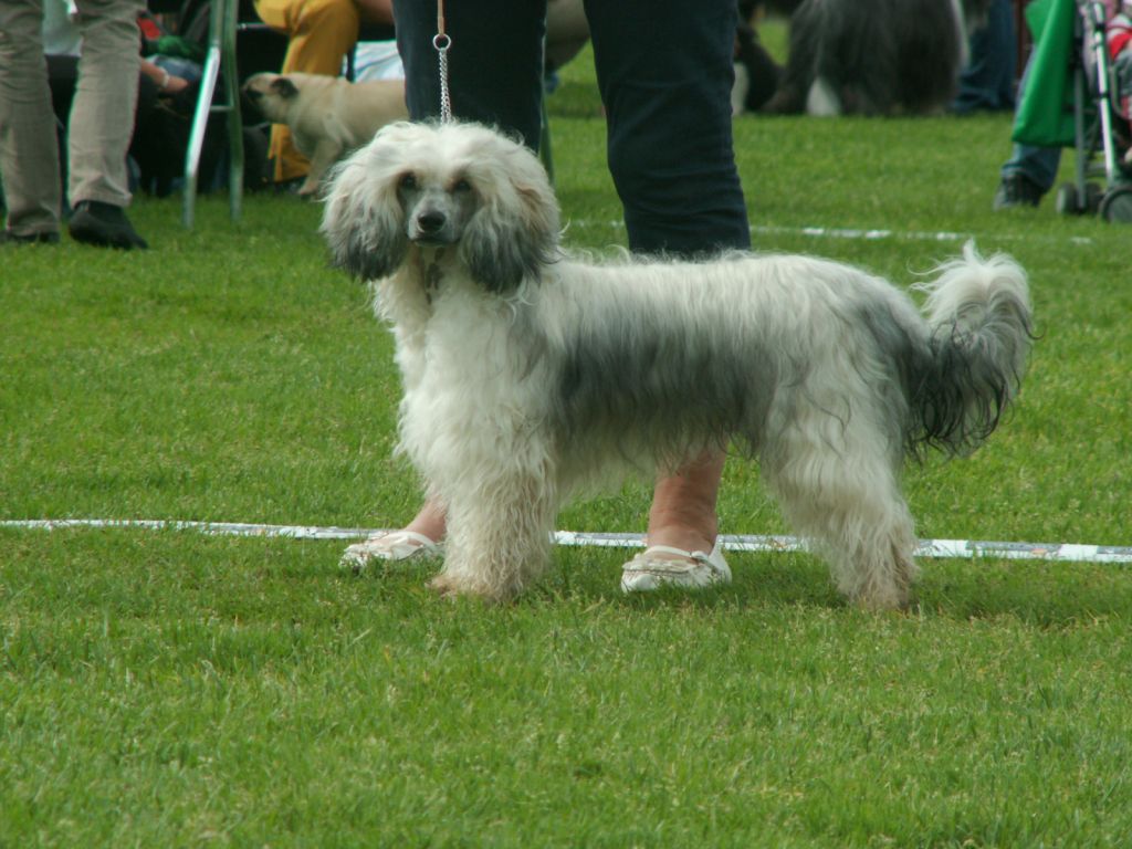 Väråsen Grand Slam