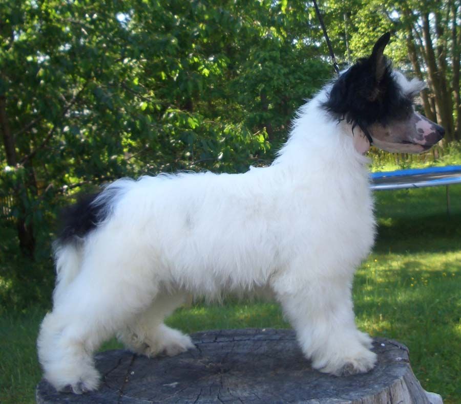 Sun-Hee's Rock E Feller