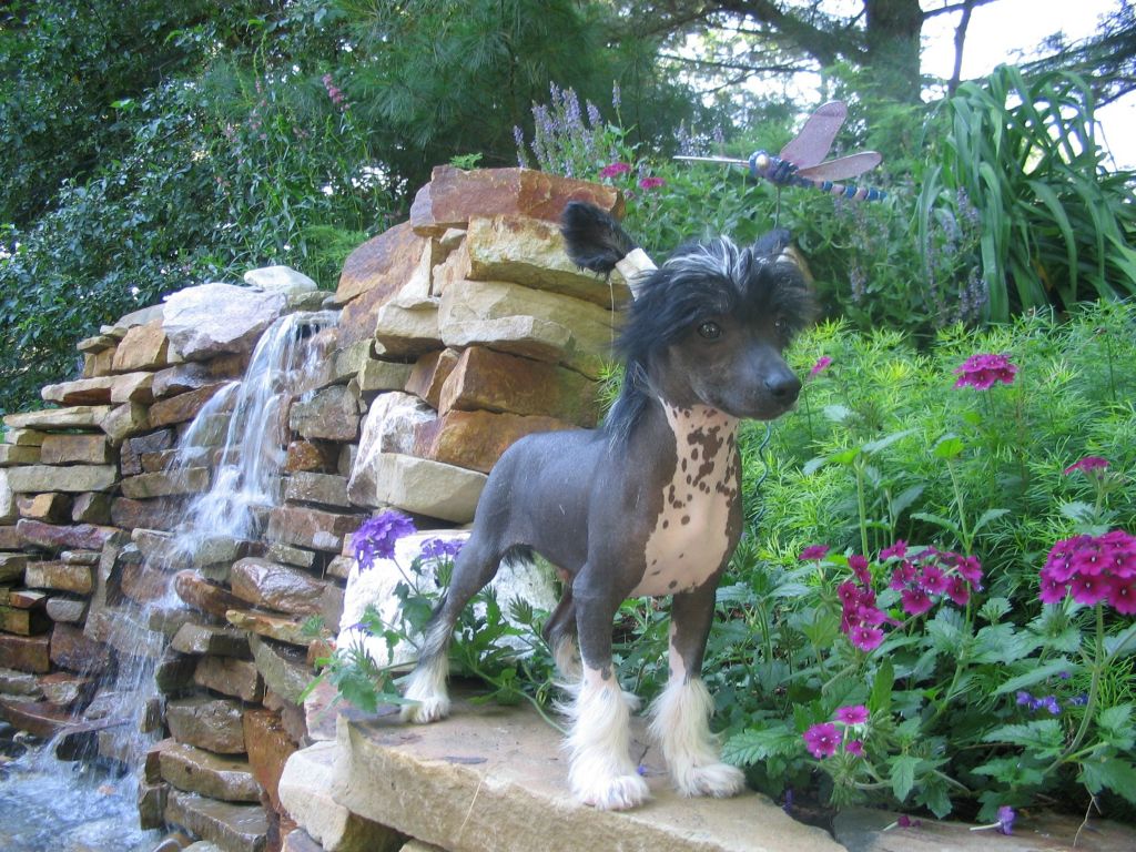 Sun-Hee's Rock Of Ages