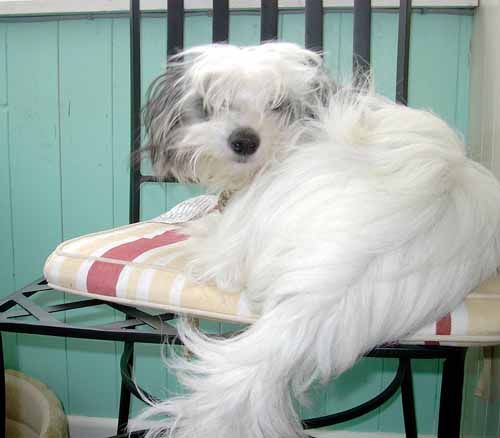 Kenmilleven Emerald Lustre