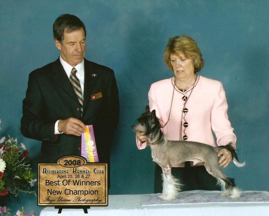 Crestyle Vin'Tage Speed HL