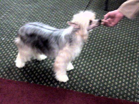 Kai's Cees Y Guilty As Sin Isi