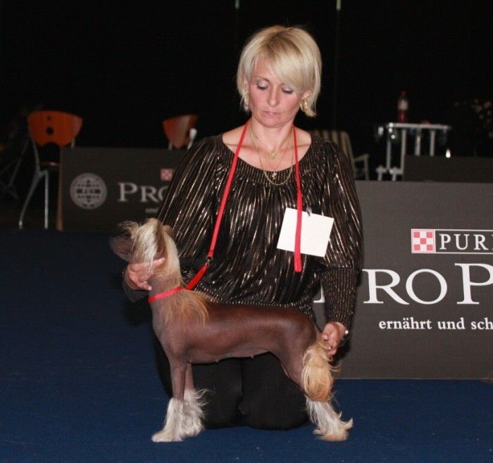 Belle Violetta z Teramonu