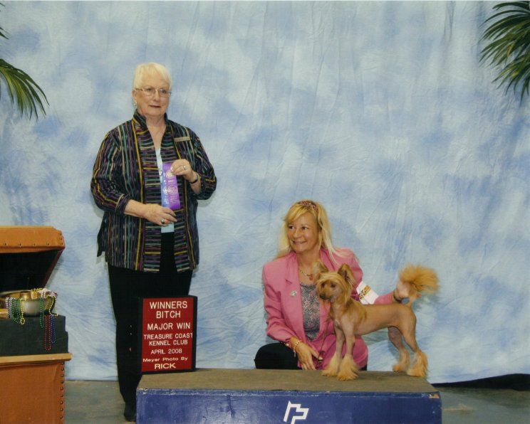 Emocja Next Germanika