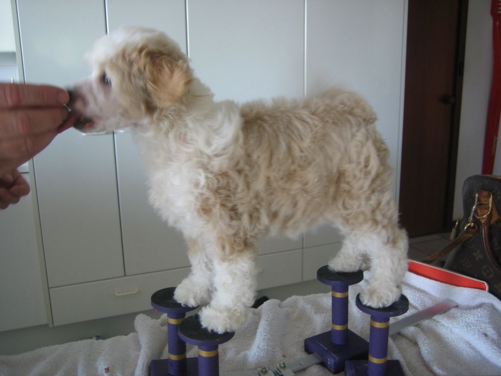 Wumao Stars In Her Eyes