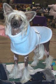 Rompford Alistair McAllister