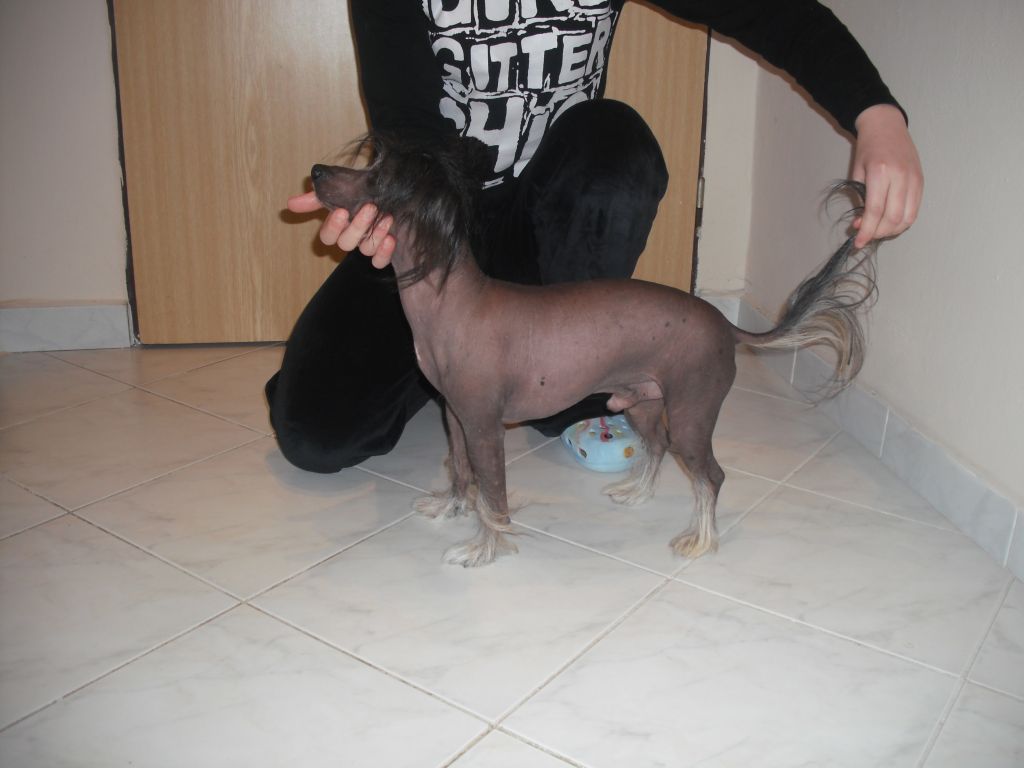 Arnold z Drozdiho hnizda