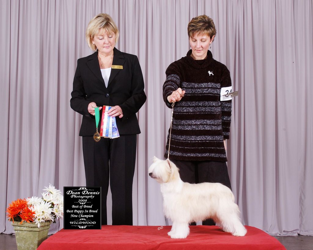 Ch Altair's National Velvet