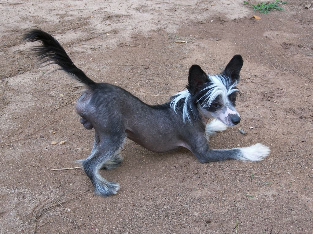 CMS Bless his Heart of St. Louis