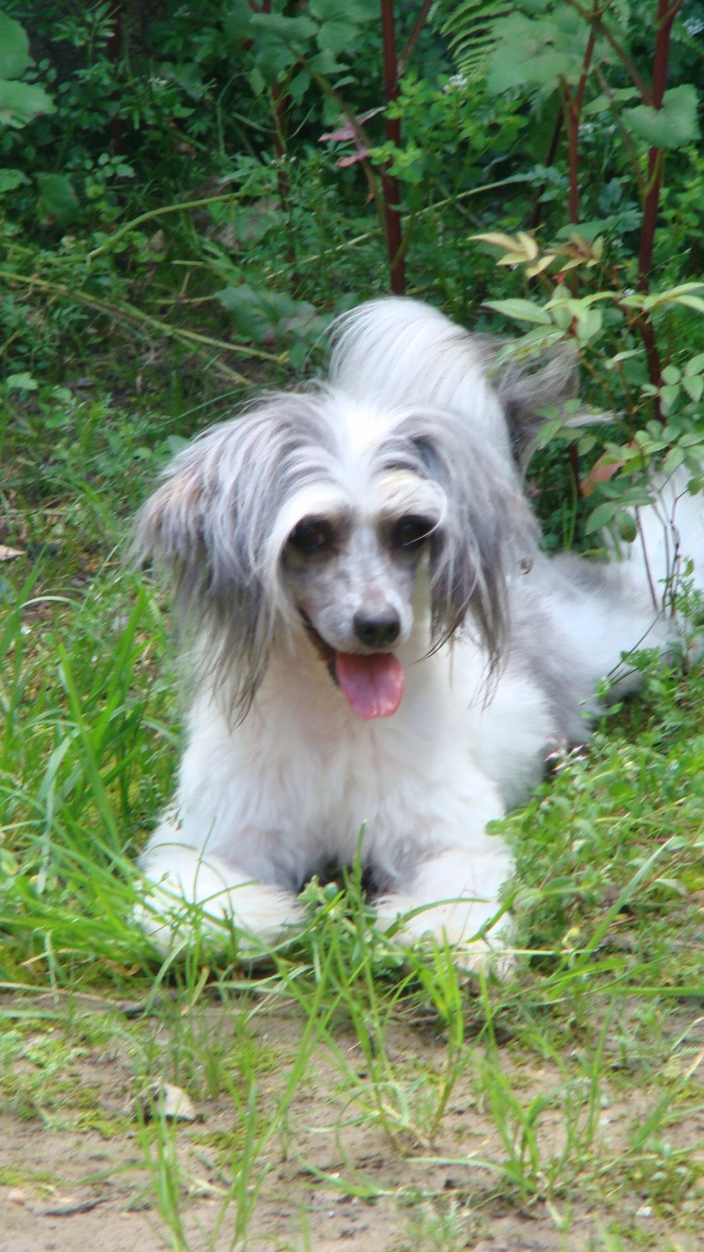 Egyptianmist Kinky boots