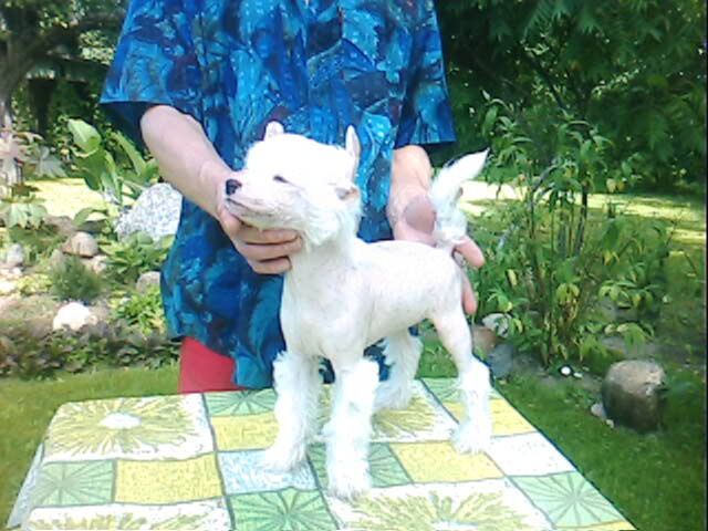 Time Of My Life Imperija