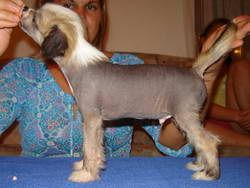 Stars at Sea California Bay