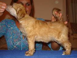 Stars at Sea Caipirinha