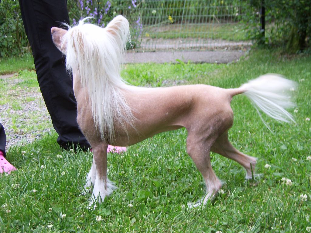 Belshaw's From New York With Love