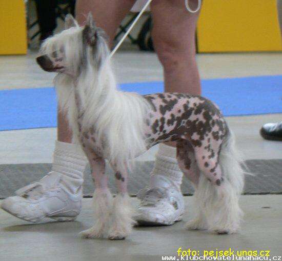 Cattharina Lea z Perlového údolí