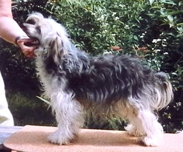 Sasquehanna Promenada