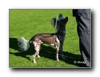 Chattanooga's So Much Fun