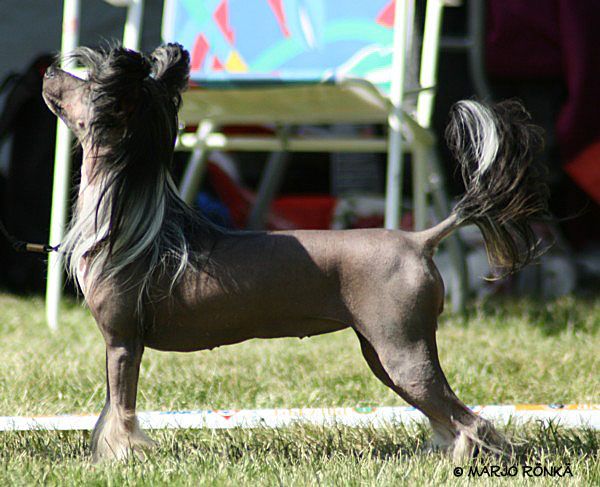 Chineseblue's Gorgeous Princess