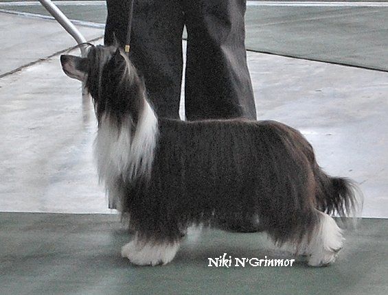 Wickhaven Heart And Soul