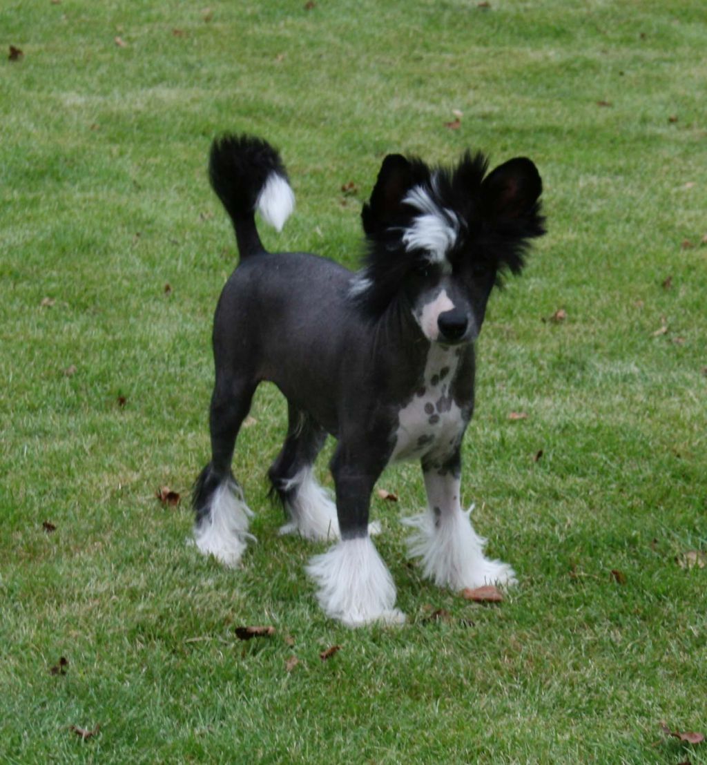 Proud Pony Keeper Of The Seven Keys