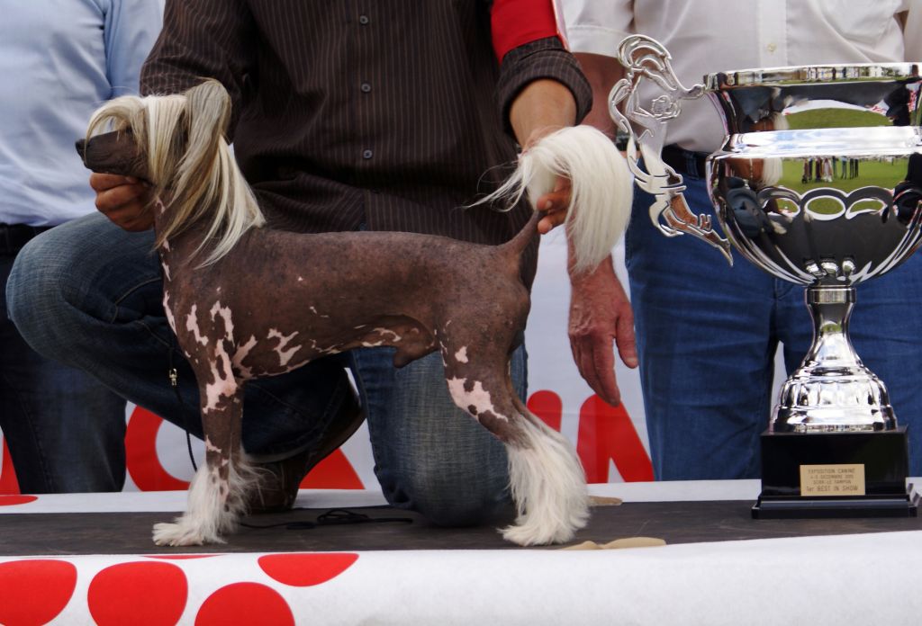 Oriental Jokes Cadet Roussel