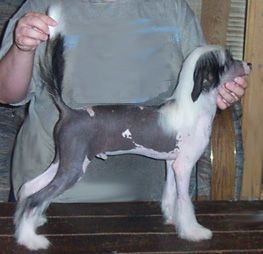 Spiritual Cover Story