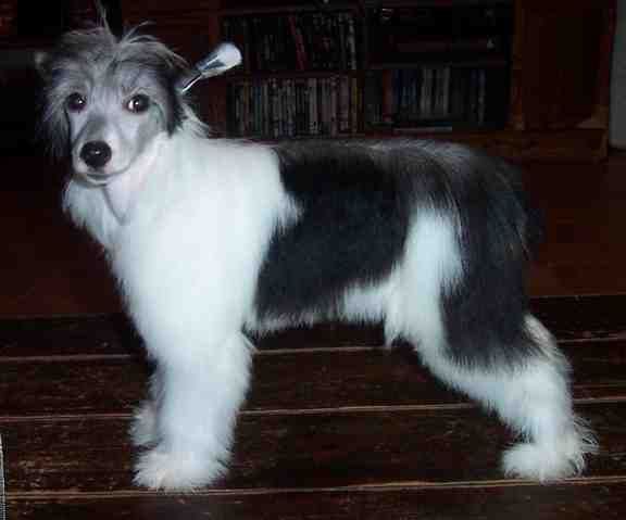 Spiritual Mosaic Cover Charge