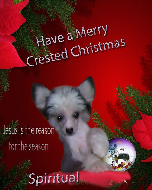 Spiritual Perfect Cover