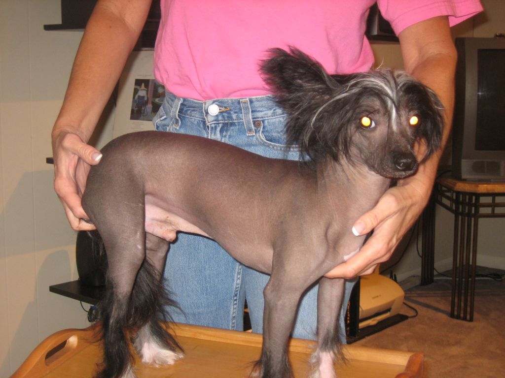 Bao Ma's Butch Cassidy