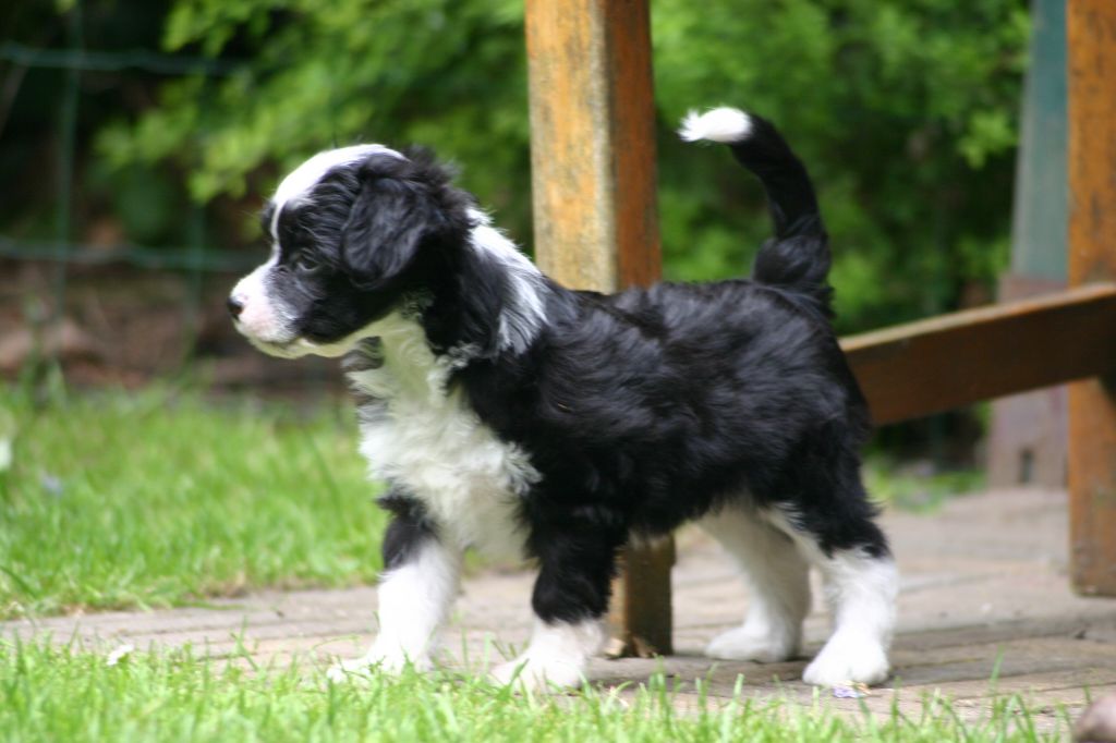 Happy Dancing Gorgeous Girl