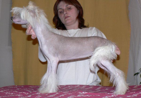 Inaya ze Zatopené chajdy