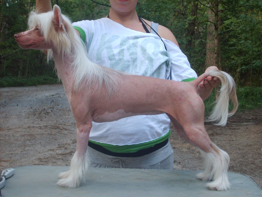 Secret Usta Milcza Dusza Spiewa