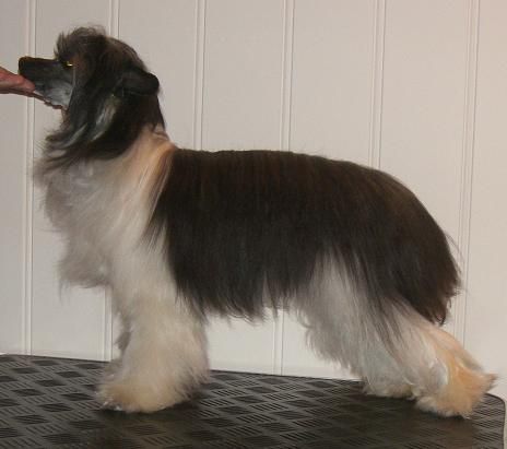 Absolute Souls You cant take me