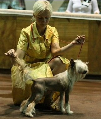 Bi-lav Plus Kardinal