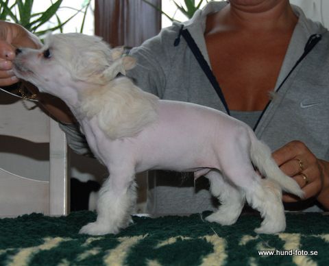 Kozlowski's Jack Pot