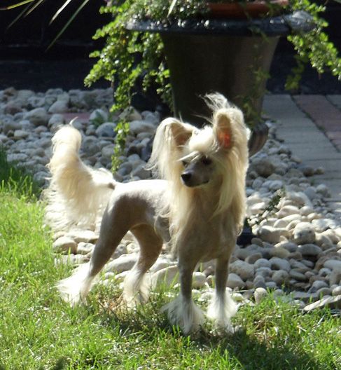 Rompford Nut'n On ButThe Radio