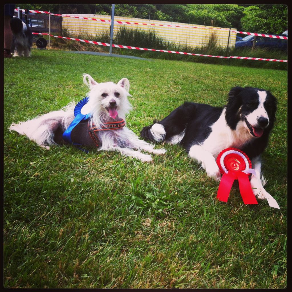 Erand Amazing Man After Shave