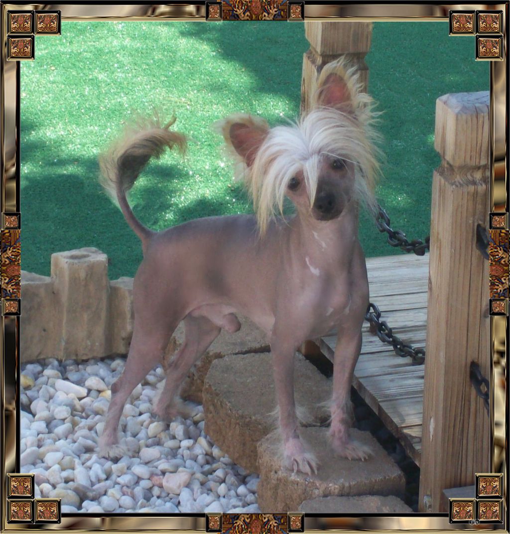 S R Call Me Sir Riley