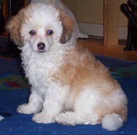 Prefix Like Thunder In June