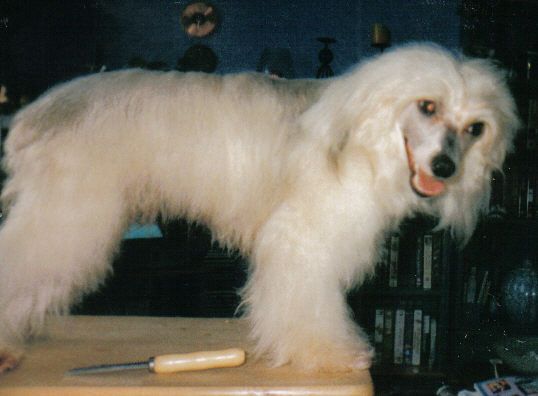 Philandiane Only For You