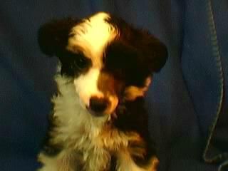 Philandiane The Seer King