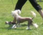 Kalon's Lady of Light