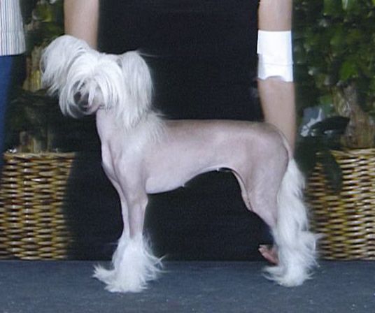 Kalon's Lady of the Lake