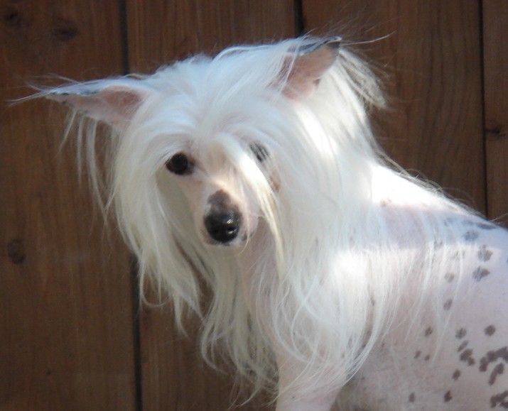 Jaya's V For Vendeta Vera