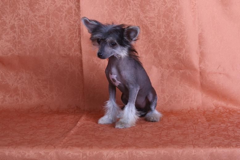 Frendor''s Day & Night