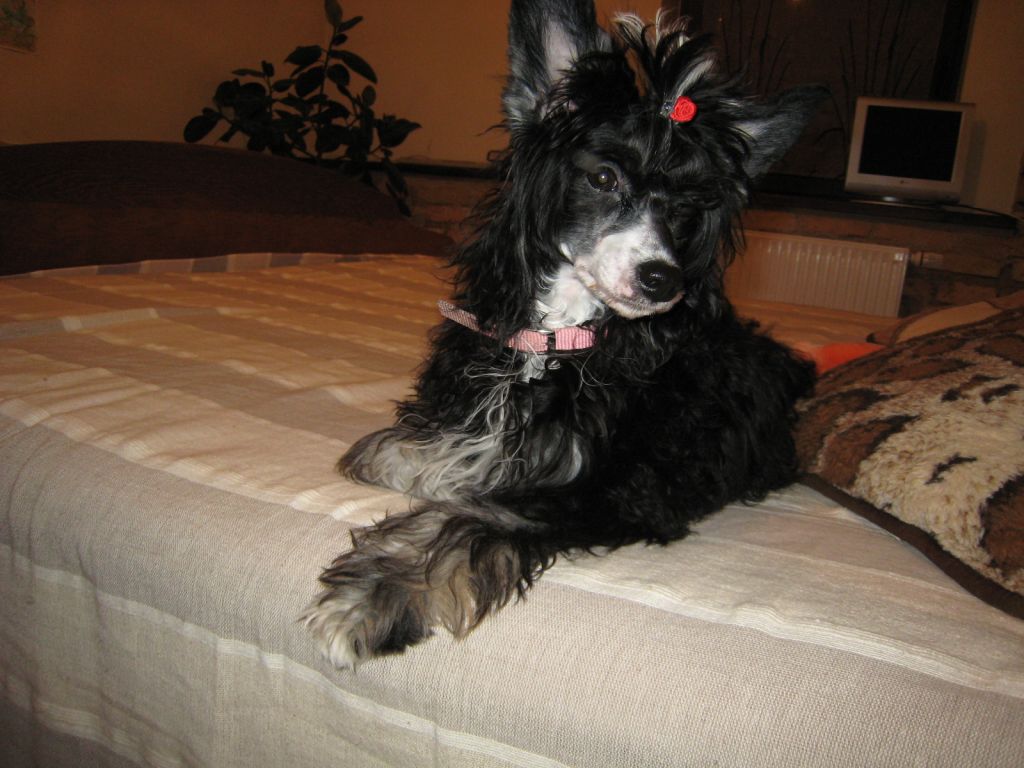 Rouber Balt Electra San