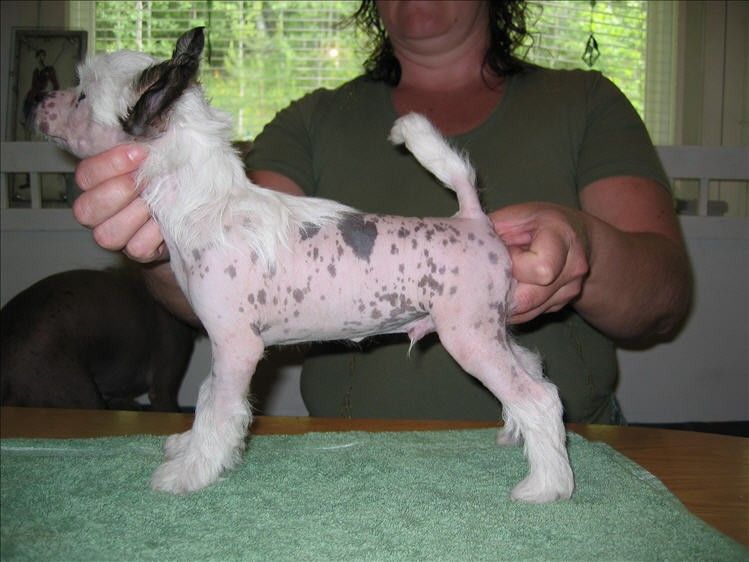 Kuutarhan Vappupallo 